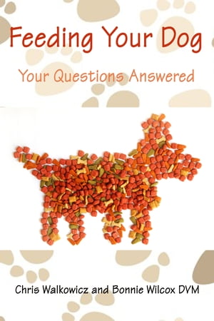 Feeding Your Dog: Your Questions Answered.