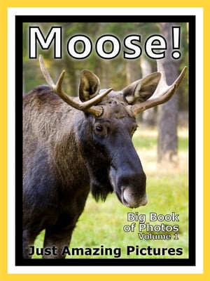 Just Moose & Elk Photos! Big Book of Photographs & Pictures of Moose & Elk, Vol. 1