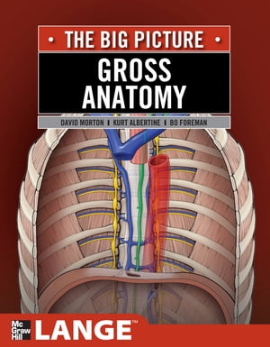 Gross Anatomy: The Big Picture, Second Edition, SMARTBOOK™