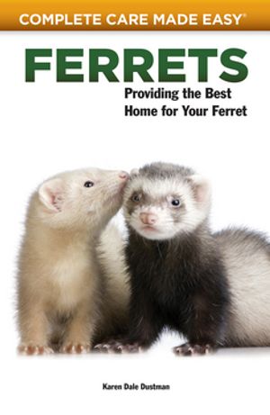 Ferrets Providing the Best Home for Your Ferret