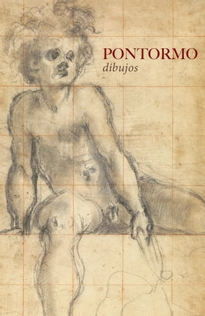 Pontormo Dibujos