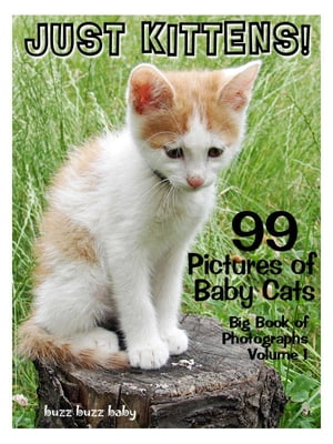 99 Pictures: Just Kitten Photos! Big Book of Baby Cat Photographs Vol. 1