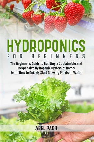 Hydroponics For Beginners