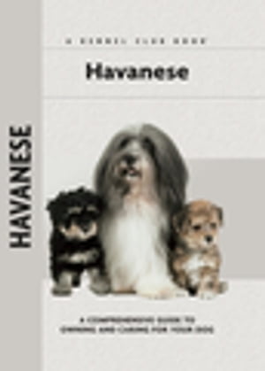 Havanese