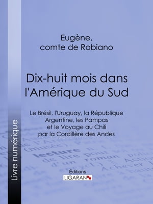 Dix-huit mois dans l'Amérique du Sud