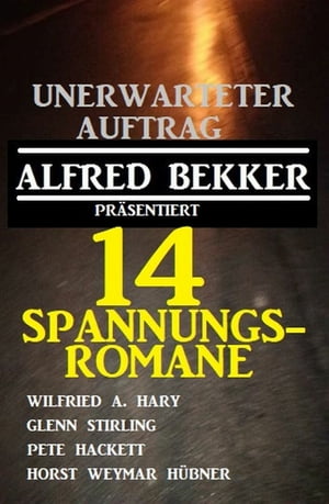 Unerwarteter Auftrag: 14 Spannungsromane