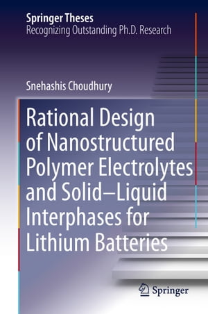 Rational Design of Nanostructured Polymer Electrolytes and Solid–Liquid Interphases for Lithium Batteries