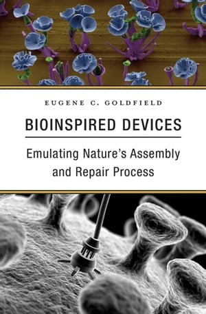 Bioinspired Devices