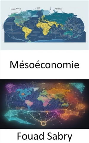 M?so?conomie Relier l’?conomie, naviguer dans la m?so?conomie pour un monde dynamique