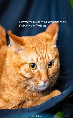 Purrfectly Trained: A Comprehensive Guide to Cat Training