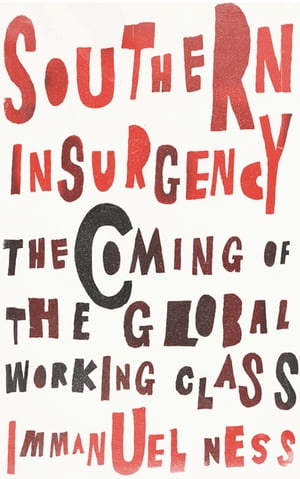 Southern Insurgency The Coming of the Global Working Class