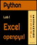 Python Lab1 Excel openpyxl