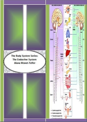 The Body System Series: The Endocrine System and its Functions