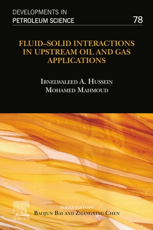 Fluid–Solid Interactions in Upstream Oil and Gas Applications