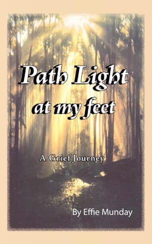 Path Light at my feet