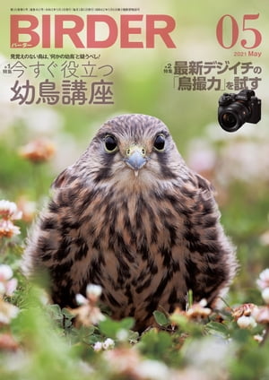 BIRDER2021年5月号