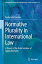 Normative Plurality in International Law