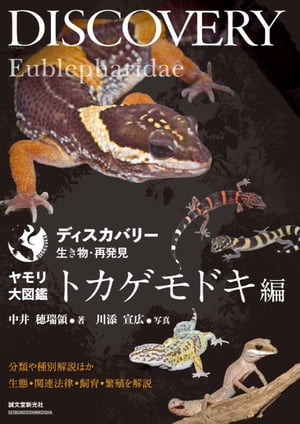 ヤモリ大図鑑 トカゲモドキ編 分類や種別解説ほか生態 関連法律 飼育 繁殖を解説【電子書籍】 中井穂瑞領