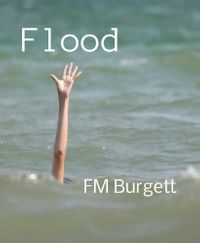 FloodŻҽҡ[ FM Burgett ]