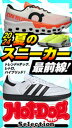 ホットドッグプレスセレクション2024夏のスニーカー最前線! no.497【電子書籍】
