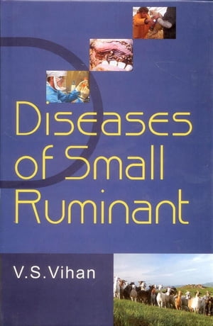 Diseases of Small Ruminant