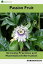 Passion Fruit Growing Practices and Nutritional ValueŻҽҡ[ AGRIHORTICO ]