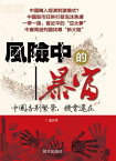 《風險中的暴富》 中國告別繁榮，機會還在【電子書籍】[ 金沙河 ]