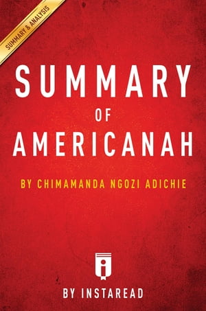 Summary of Americanah