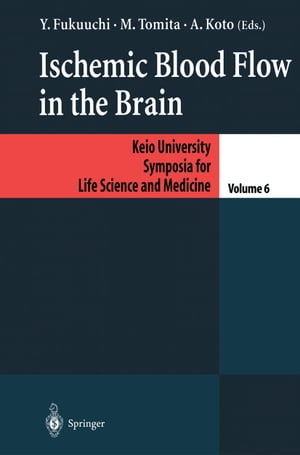 Ischemic Blood Flow in the Brain