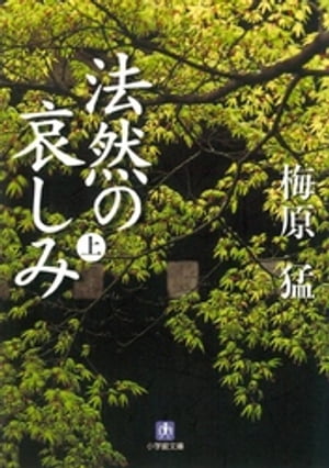 法然の哀しみ（上）（小学館文庫）【電子書籍】[ 梅原猛 ]