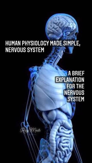 Human Physiology Made Simple, Nervous System