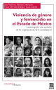 Violencia de g?nero y feminicidio en el Estado de M?xico La percepci?n y las acciones de las organizaciones de la sociedad civil