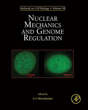 Nuclear Mechanics and Genome Regulation