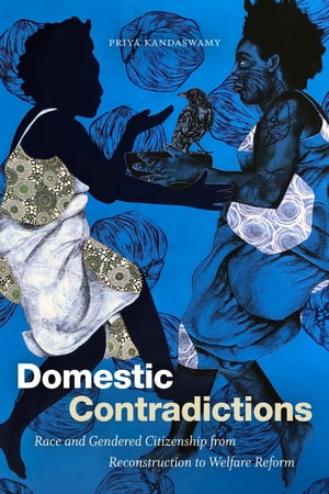 Domestic Contradictions Race and Gendered Citizenship from Reconstruction to Welfare Reform