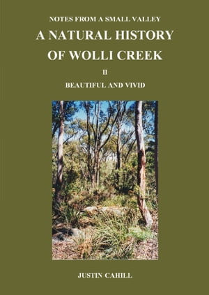 Notes from a Small Valley A Natural History of Wolli Creek II Vivid and Beautiful