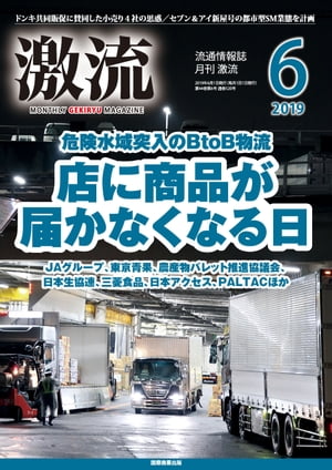 月刊激流 2019年6月号