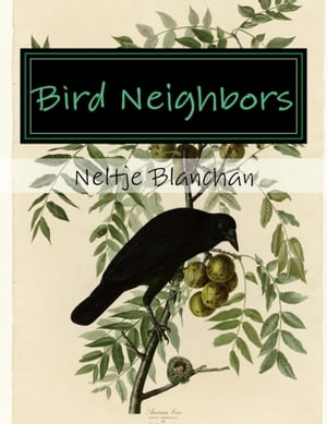 Bird Neighbors (Illustrated)
