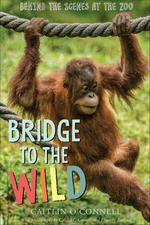 Bridge to the Wild