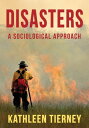 Disasters A Sociological Approach