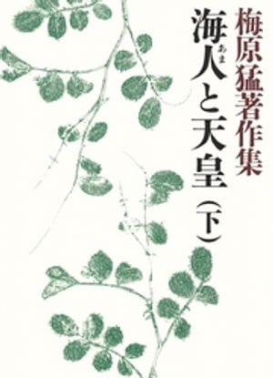 ＜p＞【ご注意】※お使いの端末によっては、一部読みづらい場合がございます。お手持ちの端末で立ち読みファイルをご確認いただくことをお勧めします。＜/p＞ ＜p＞孝謙天皇の祖母である藤原宮子が海人の娘であるという道成寺に残る宮子出生伝承は事実でないかと著者は指摘する。孝謙天皇の道鏡への恋も、祖母の海人の血から発した仏教的な平等思想のあらわれであることを論征する。＜/p＞画面が切り替わりますので、しばらくお待ち下さい。 ※ご購入は、楽天kobo商品ページからお願いします。※切り替わらない場合は、こちら をクリックして下さい。 ※このページからは注文できません。