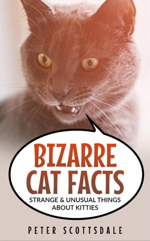 Bizarre Cat Facts: Strange & Unusual Things About Kitties