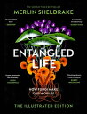 Entangled Life (The Illustrated Edition) A beautiful new edition of the Sunday Times bestseller featuring 100 illustrations【電子書籍】[ Merlin Sheldrake ]