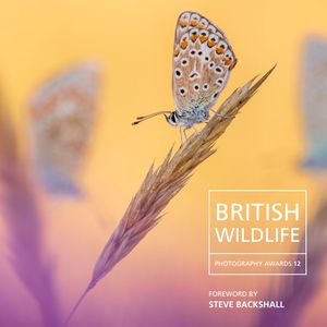 British Wildlife Photography Awards 12