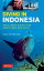 Diving in Indonesia