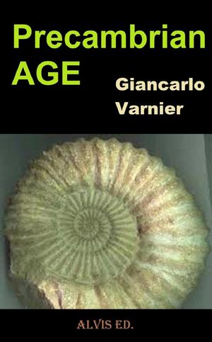 Precambrian Age