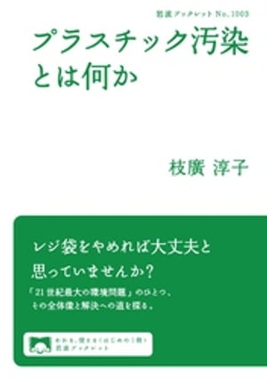 プラスチック汚染とは何か【電子書籍】[ 枝廣淳子 ]