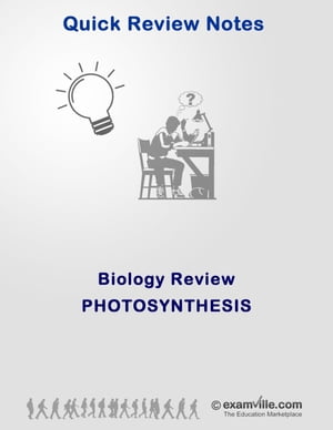 Photosynthesis Explained - Quick Review & Outline