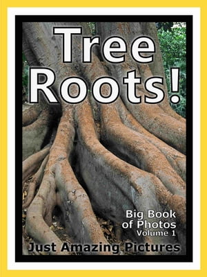 Just Tree Root Photos! Big Book of Photographs & Pictures of Tree Roots, Vol. 1