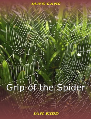 ŷKoboŻҽҥȥ㤨Ian's Gang: Grip of the SpiderŻҽҡ[ Ian Kidd ]פβǤʤ114ߤˤʤޤ