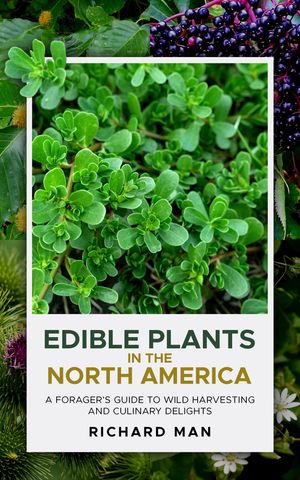 Edible Plants of North America A Forger’s Guide to Wild Harvesting and Culinary Delights【電子書籍】[ Richard Man ]